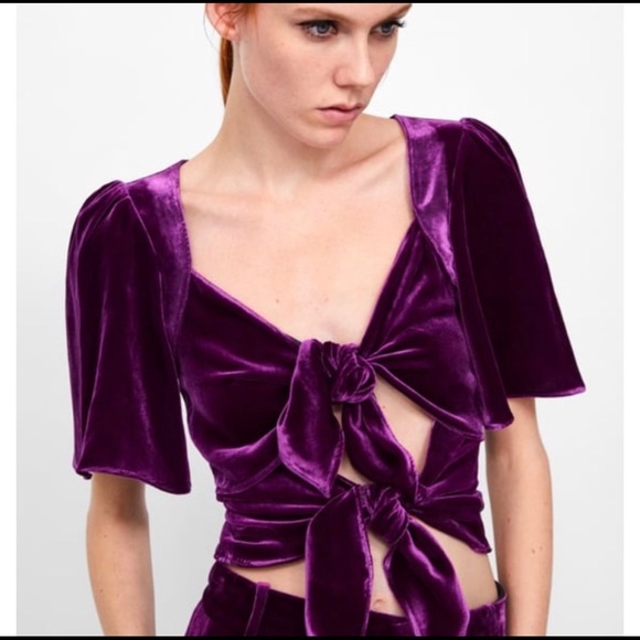 Zara Tops - Zara Crushed Silk Velvet Tie Bow Top
